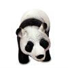 تصویر شماره 1  ماکت خرس پاندا نرم پوپتی متوسط