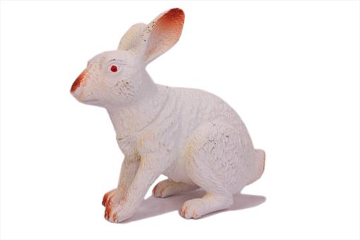 اسباب-بازی-ماکت خرگوش نرم سوتکی کوچک
