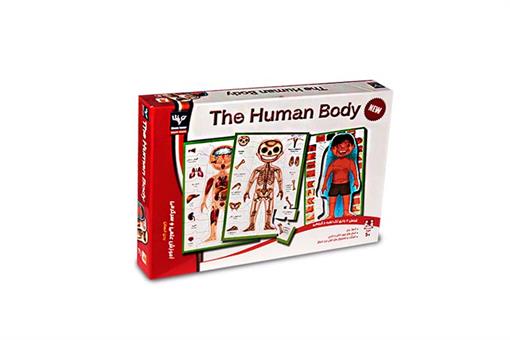 اسباب-بازی-سرگرمی بدن انسان