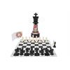 تصویر-شماره-1-شطرنج-ترنج-طرح-شاه-