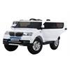 تصویر شماره 1  ماشین شارژِی BMW شاسی بلند