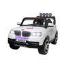 تصویر-شماره-1-ماشین-شارژی-BMW-شلسی-بلند
